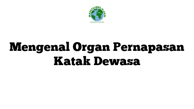 Mengenal Organ Pernapasan Katak Dewasa